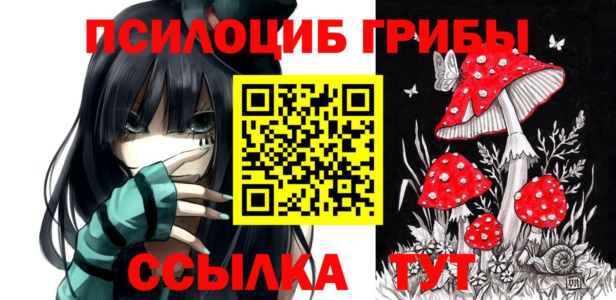 Галлюциногенные грибы GOLDEN TEACHER Гусиноозёрск