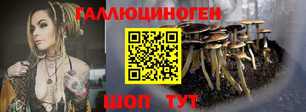 Гусиноозёрск  Псилоцибиновые грибы мицелий  Галлюциногенные грибы GOLDEN TEACHER  Вход с VPN 