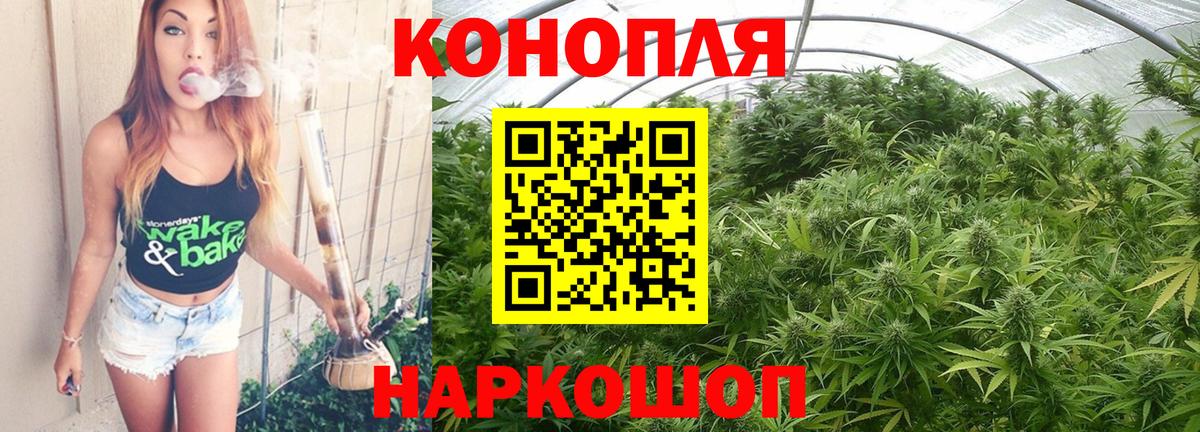 Марихуана семена Гусиноозёрск